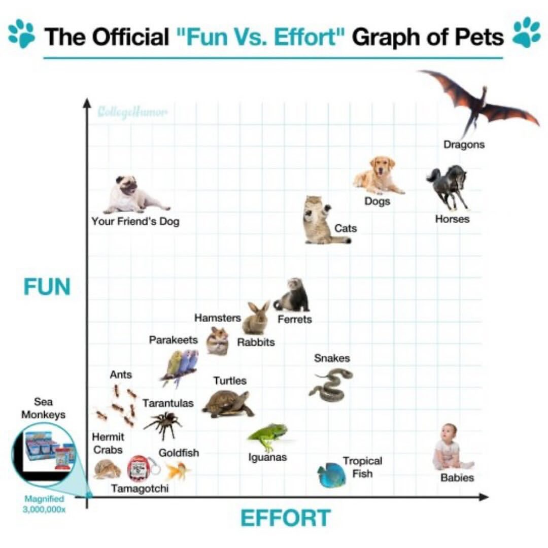 scatterplot - pet fun versus effort
